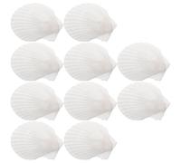 SHINEOFI Set 10 Pezzi Piatti a Forma di Conchiglia Bianca Naturale, Eleganti e Unici, per Conservare Snack e Noci in Occasioni di Riunioni Familiari