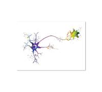 SHINERING Neurone Acquerello Neuroscienze Neurologia Poster Stampa Artistica Da Parete Cervello Anatomia Medicina Tela Dipinto Sinapsi Clinica Decorazione Per Stanza A5 40X50Cm Senza Telaio