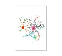 SHINERING Neurone Acquerello Neuroscienze Neurologia Poster Stampa Artistica Da Parete Cervello Anatomia Medicina Tela Dipinto Sinapsi Clinica Decorazione Per Stanza A6 30X40Cm Senza Telaio