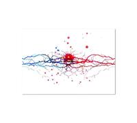 SHINERING Neurone Acquerello Neuroscienze Neurologia Poster Stampa Artistica Da Parete Cervello Anatomia Medicina Tela Dipinto Sinapsi Clinica Decorazione Per Stanza A4 50X70Cm Senza Telaio