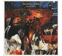 Shining Bird - SPUNK Black Opal