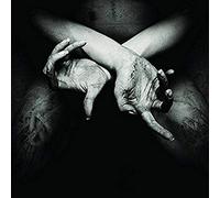 Shining - X Varg Utan Flock