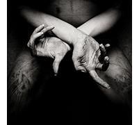 Shining - X Varg Utan Flock