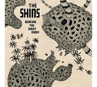 Shins - Wincing the Night Away