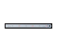 Shinwa Sokutei righello dritto argento grado JIS1 15-100 cm 13005-13048 Giappone