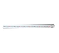 Shinwa Sokutei righello dritto argento grado JIS1 15-100 cm 13005-13048 Giappone