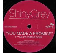 Shiny Grey - You Made a Promise (d.Guetta &B.Sinclar)