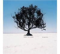Shiny Toy Guns - We Are Pilots