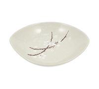 SHINYPASING Smalti Ecologici in Bianco Dipinto Facile da Pulire per Snack e Noodle per Domestico e Alberghiero