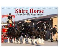 Shire Horse ¿ Prunkvolle Giganten (Tischkalender 2026 DIN A5 quer), CALVENDO Monatskalender: Die größten Pferde der Welt im Prunkgeschirr!
