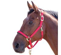 ShiresTopaz Nylon Cavezza per Cavallo (ER239)