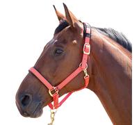 ShiresTopaz Nylon Cavezza per Cavallo (ER239)