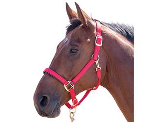 ShiresTopaz Nylon Cavezza per Cavallo (ER239)