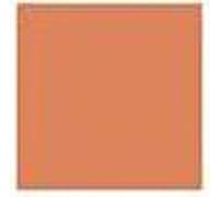 Shiseido - Shiseido UV Protective Compact Foundation SPF30 Dark Beige