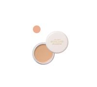 Shiseido - Spots Cover Foundation - 20g - H100