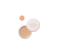 Shiseido - Spots Cover Foundation - 20g - S100