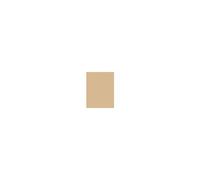 Shiseido Tanning Compact Foundation SPF 10 12 g ombra Honey