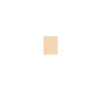 Shiseido Shiseido - Synchro Skin Self Refreshing Foundation - Fondotinta Liquido - synchro Skin Self-refreshing Founda - Donna