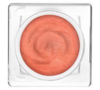 Shiseido Whipped Blush Polvere 4 Elko Tan - Fard