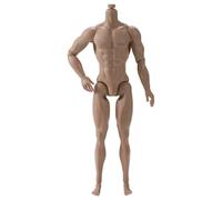 SHITOOMFE Action Figure Body, 1/6 Scala Action Figure, 6 Corpo Muscolare Maschile Mobile Multi -articolato per la Raccolta del Display, Marrone Chiaro