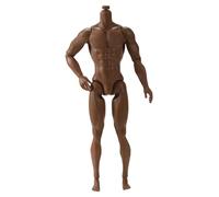 SHITOOMFE Action Figure Body, 1/6 Scala Action Figure, 6 Corpo Muscolare Maschile Mobile Multi -articolato per la Raccolta del Display, Marrone