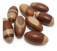 Narmada Lingam Shiva Lingham Shivling Rare River Stone Puja Temple fino a 1,5"