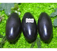 Shiva Lingham Pietra Narmada Fiume India Molto Speciale & Puro Nero Lingam