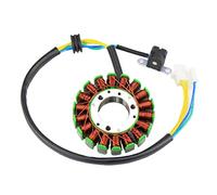 Shiwaki Per YP250 Linhai 250-300cc Statore ATV Quad Magneto 12V 18