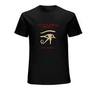 SHIXUED Men's The Alan Parsons Project Lovely And Interesting Unisex en's Tee T Shirt Black L