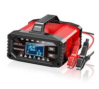 Shkalacar Caricatore della Batteria Portatile 12 V 24 V, Alimentazione 15A per Camion per Moto, Display LCD (Plug)