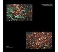Shlohmo - Bad Vibes - 5th Anniversary Edition (3 LP)
