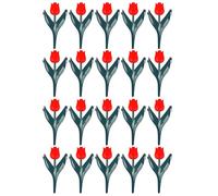 Shntig 20 pratici tulipani colorati per recinti e prati, perfetti per il bordo del giardino e il design del paesaggio, multiuso