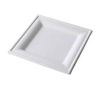 SHOBI 500 Piatti Piani Quadrati 16x16 cm Monouso in polpa di Cellulosa Piatto interamente Biodegradabile e Compostabile