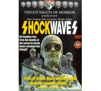 Shock Waves