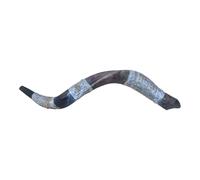 Shofar Kudu Horns 12 Tribes Hoshen Stone corno placcato argento Shofar Judaica