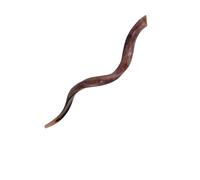 shofar kudu Yemenite Horn 36'' Full Polished Chofar Note di partenza: E+-,F+-,G+