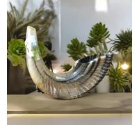 Shofar Ram Horn che soffia JEWISH SHOFAR preghiera della sinagoga 14"-16"