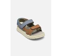 Shoo Pom - Rolly Boy Scratch Multicolore - Sandali e scarpe aperte 33 Multicolore