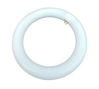 Shop SoftAir® Circolina Led Consumo 14W Corrispondenza 80W diametro 21,5 cm 1300LM Lumen Luce Bianco Naturale 4000k Calda 3000k Fredda 6500k Attacco G10Q T9 (Luce Fredda 6500k)