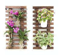 ShopLaLa Fioriera da parete - Fioriera sospesa per piante da interno, supporto per piante grasse, supporto verticale per giardino, grande decorazione da parete per soggiorno, decorazione per la stanza
