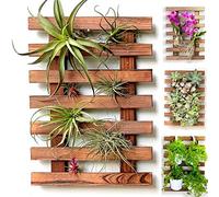 ShopLaLa Fioriera da parete in legno per piante grasse, per interni ed esterni, orchidea viva, cornice verticale per giardino, balcone, terrazza, bagno, Macetas para Plantas de Aire 40 cm