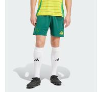 Short Away 24/25 Celtic FC Team Dark Green S