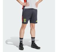 Short da allenamento Tiro 24 Competition Benfica Night Grey / Semi Solar Red XS