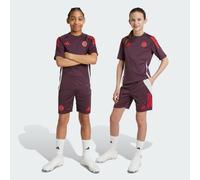 Adidas Fc Bayern Munich 24/25 Training Junior Shorts Viola 7-8 Years Bambino,Bambina