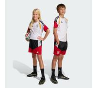Adidas Germany 26/27 Tiro Training Junior Shorts Rosso 13-14 Years Bambini