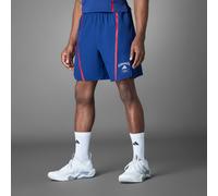 ADIDAS PERFORMANCE Pantaloni sportivi 'Designed-for-Training Legacy' genziana / granatina / bianco, Taglia XL