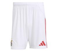 Short Domicilio Benfica Lisbona 2025/26 Blanc M