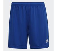 Short Entrada 22 Royal Blue L