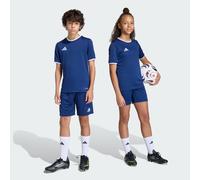 Short Entrada26 Kids Team Navy Blue 2 / White 7-8A