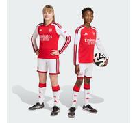 Adidas Arsenal Fc 26/27 Home Junior Shorts Rosso 11-12 Years Bambini